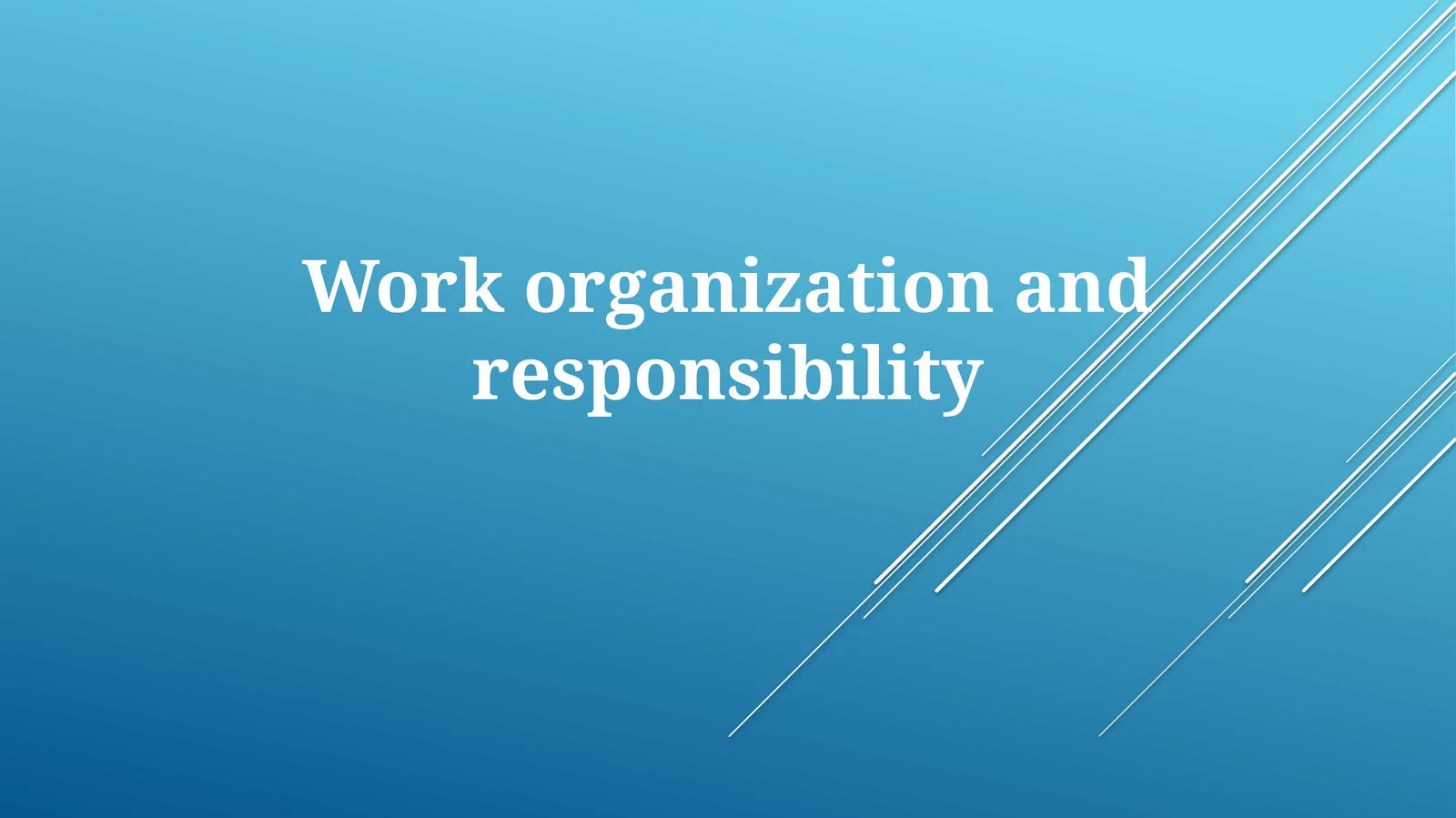 Work Organization And Responsibility 1