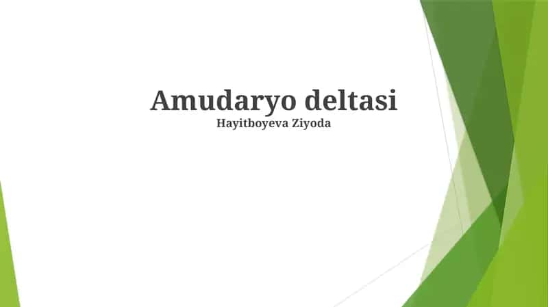 Amudaryo Deltasi: Muammolar va Yechimlar 1
