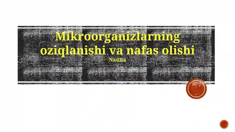 Mikroorganizlarning oziqlanishi va nafas olishi