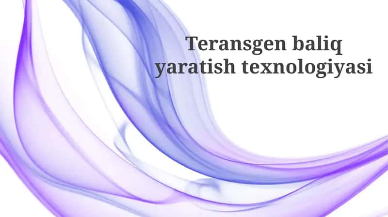 Teransgen baliq yaratish texnologiyasi 1