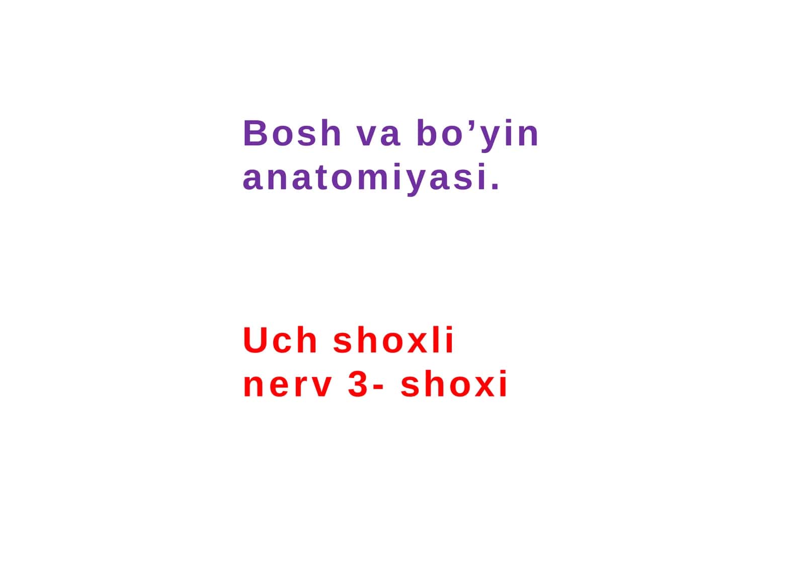 Uch shoxli nerv 3- shoxi, N.Mandibularis 1