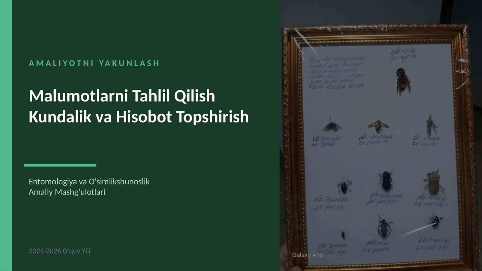 Entomologiya va O'simlikshunoslik 1