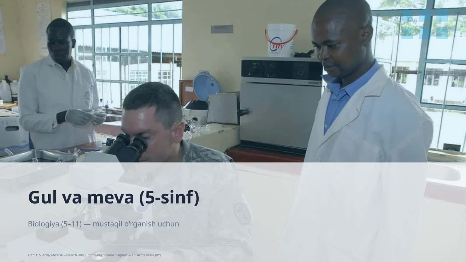 Gul va meva (5-sinf) 1