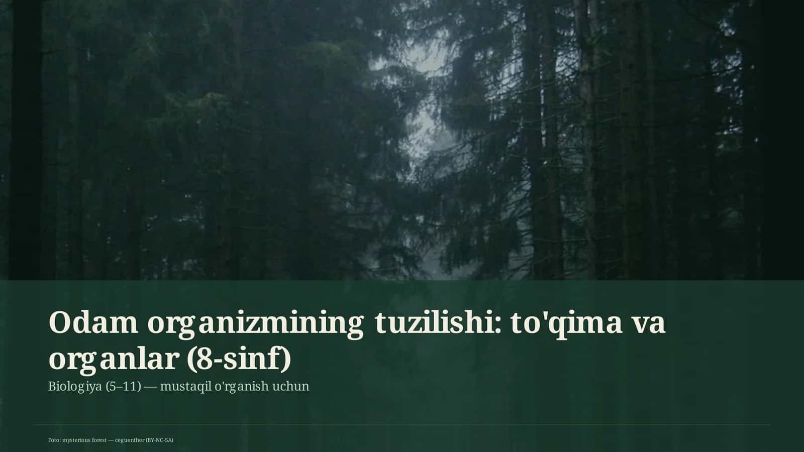Odam organizmining tuzilishi: to'qima va organlar (8-sinf) 1
