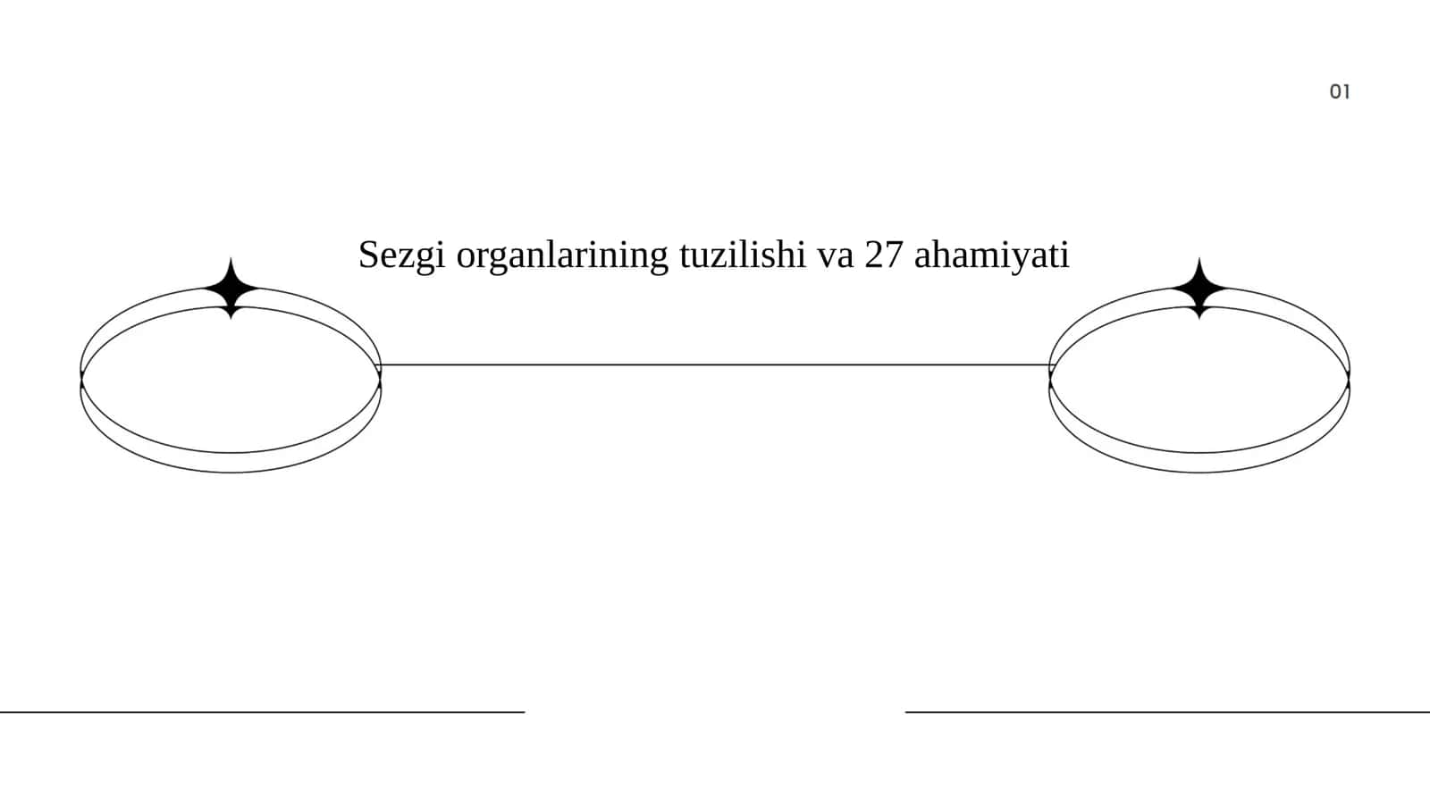 Sezgi organlarining ahamiyati 1