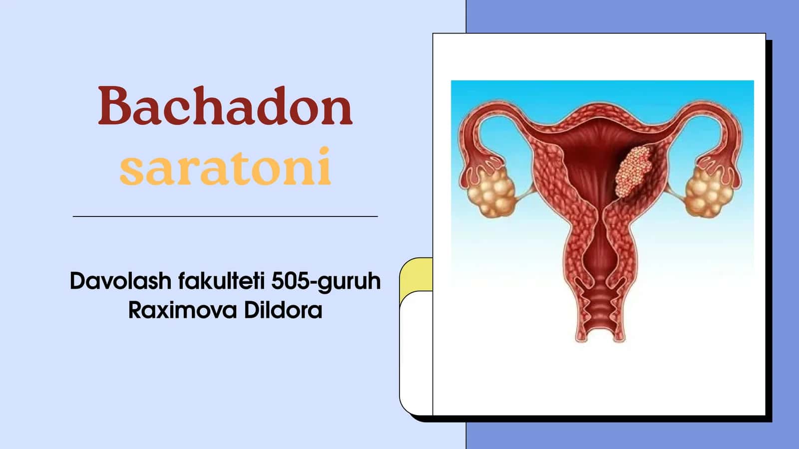 Bachadon saratoni 1