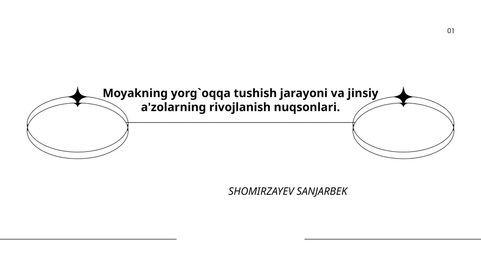 Moyakning yorg`oqqa tushish jarayoni va jinsiy a'zolarning rivojlanish nuqsonlari 1