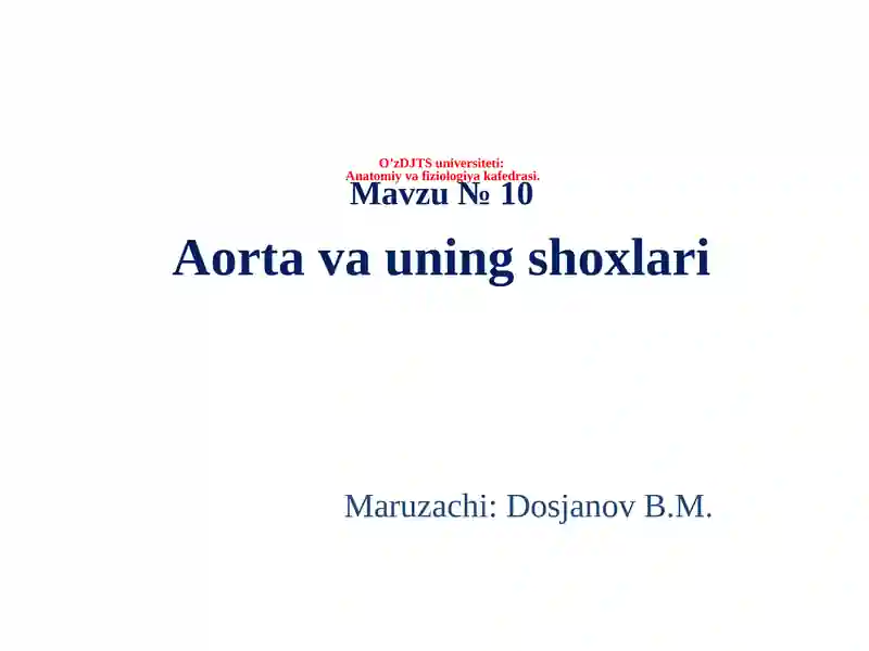 Aorta va uning shoxlari