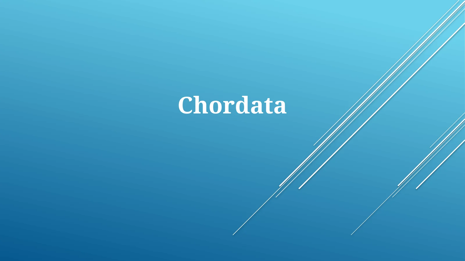Chordata 1