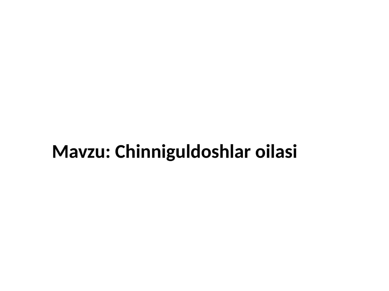 Chinniguldoshlar oilasi 1