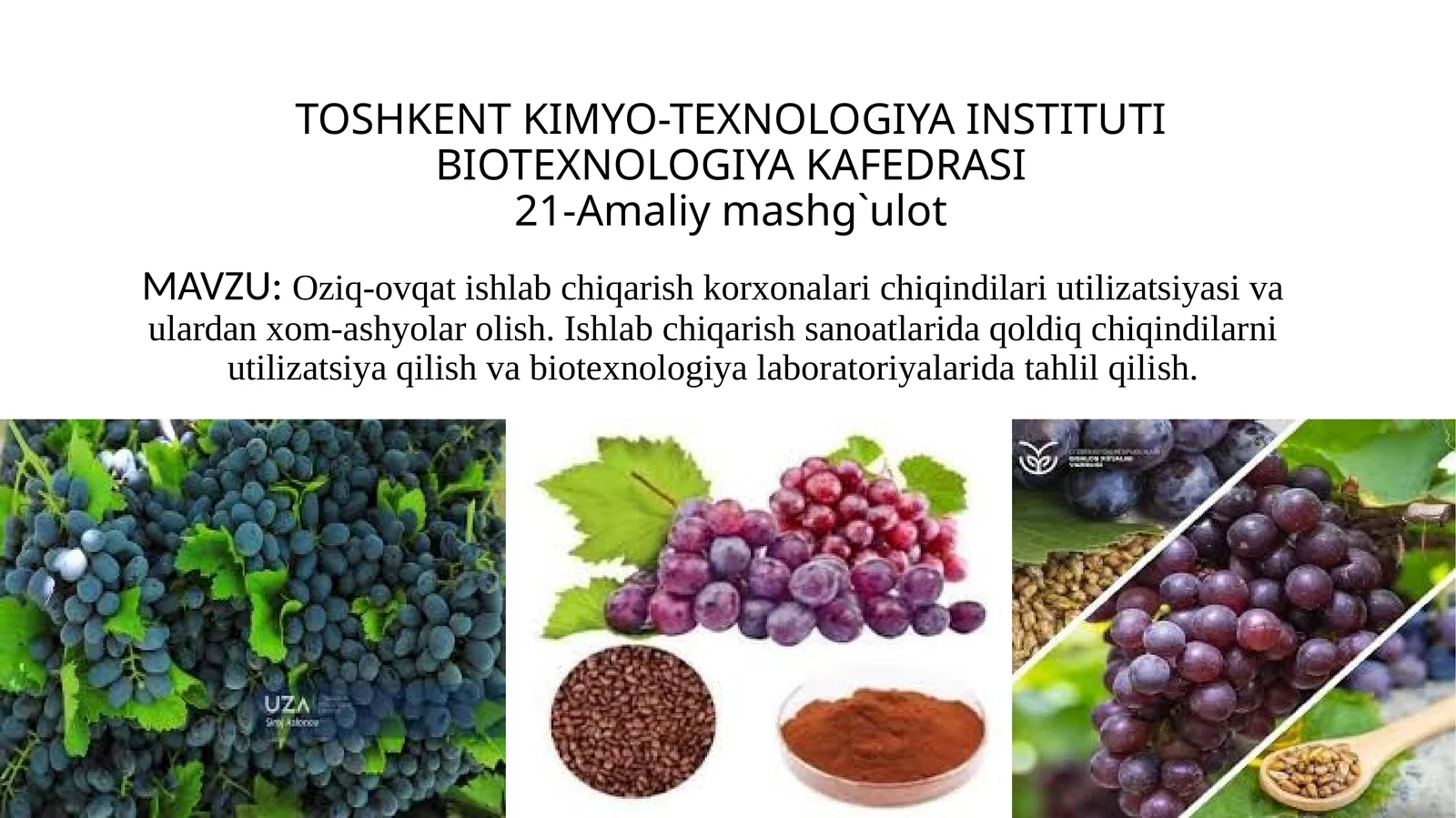 Oziq-ovqat ishlab chiqarish korxonalari chiqindilari utilizatsiyasi va ulardan xom-ashyolar olish. Ishlab chiqarish sanoatlarida qoldiq chiqindilarni utilizatsiya qilish va biotexnologiya laboratoriyalarida tahlil qilish 1