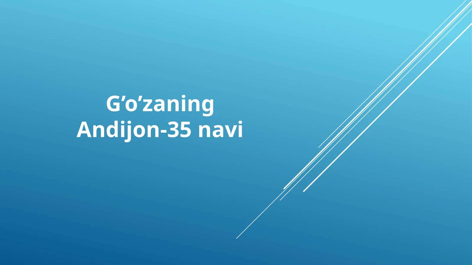 G’o’zaning Andijon-35 navi 1