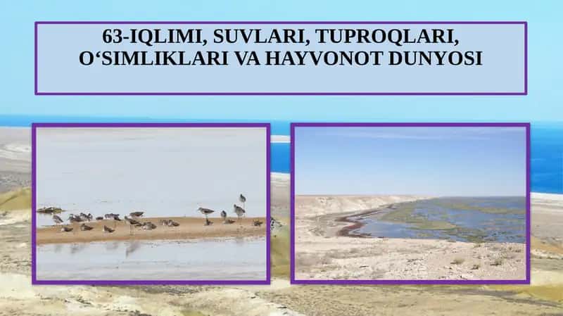 63-IQLIMI, SUVLARI, TUPROQLARI,O‘SIMLIKLARI VA HAYVONOT DUNYOSI 1