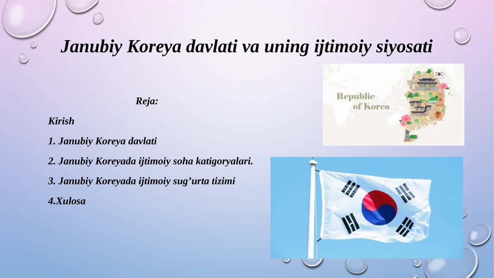 Janubiy Koreya davlati va uning ijtimoiy siyosati 1