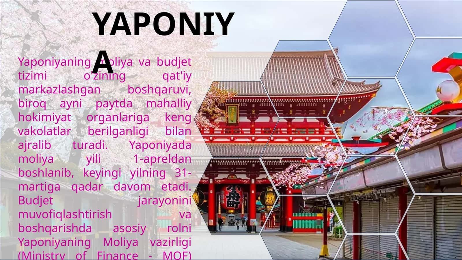 YAPONIYA IQTISODIYOTI. YAPONIYANING BYUDJET SIYOSATI. Yaponiya 1