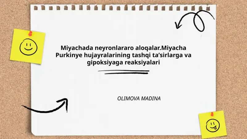 Miyachada neyronlararo aloqalar.Miyacha Purkinye hujayralarining tashqi taʼsirlarga va gipoksiyaga reaksiyalari 1