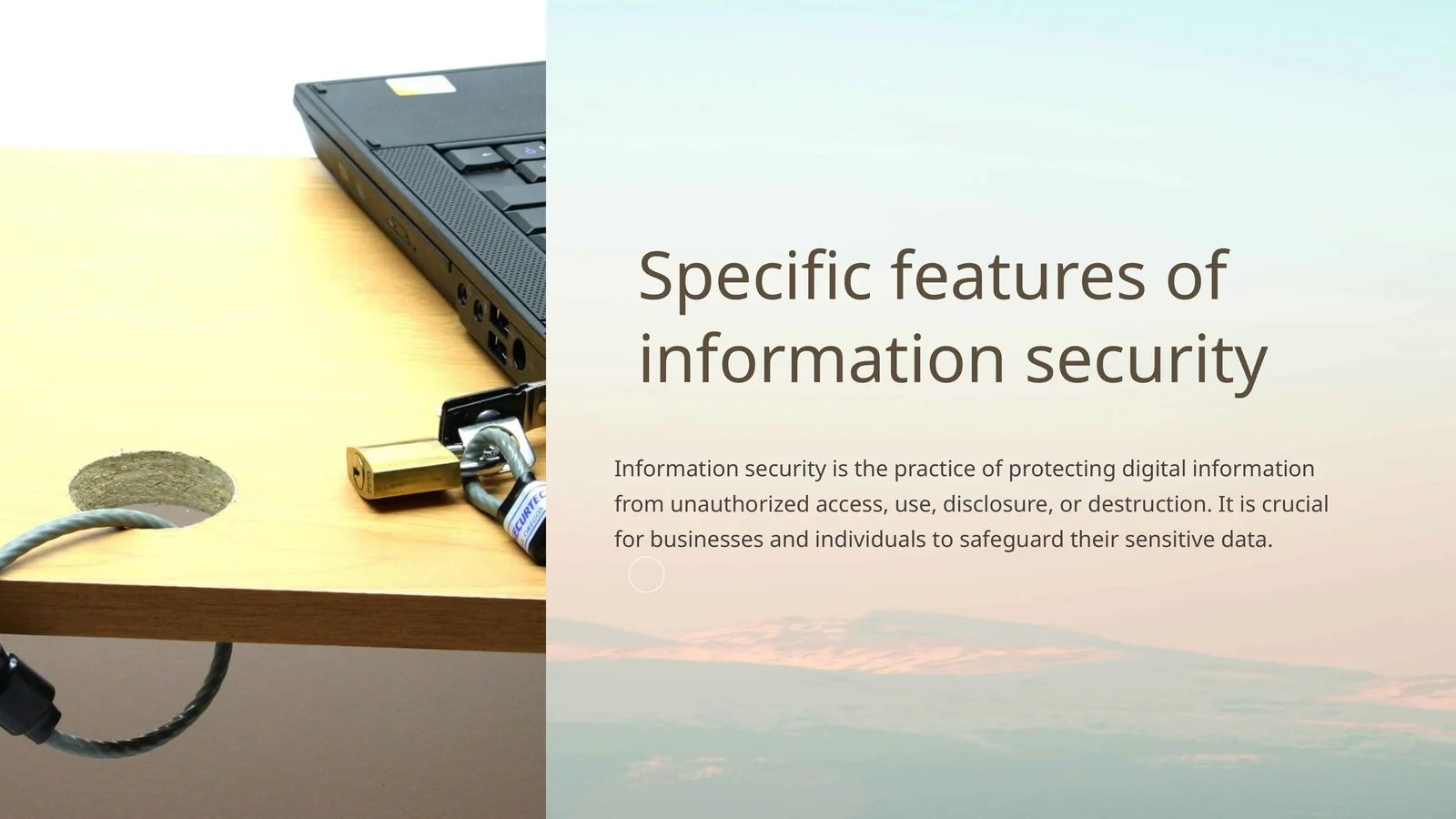 Information security 1