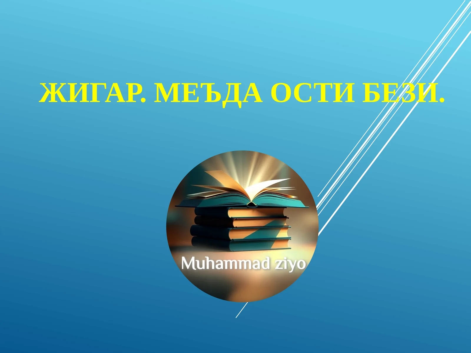 ЖИГАР. МЕЪДА ОСТИ БЕЗИ 1