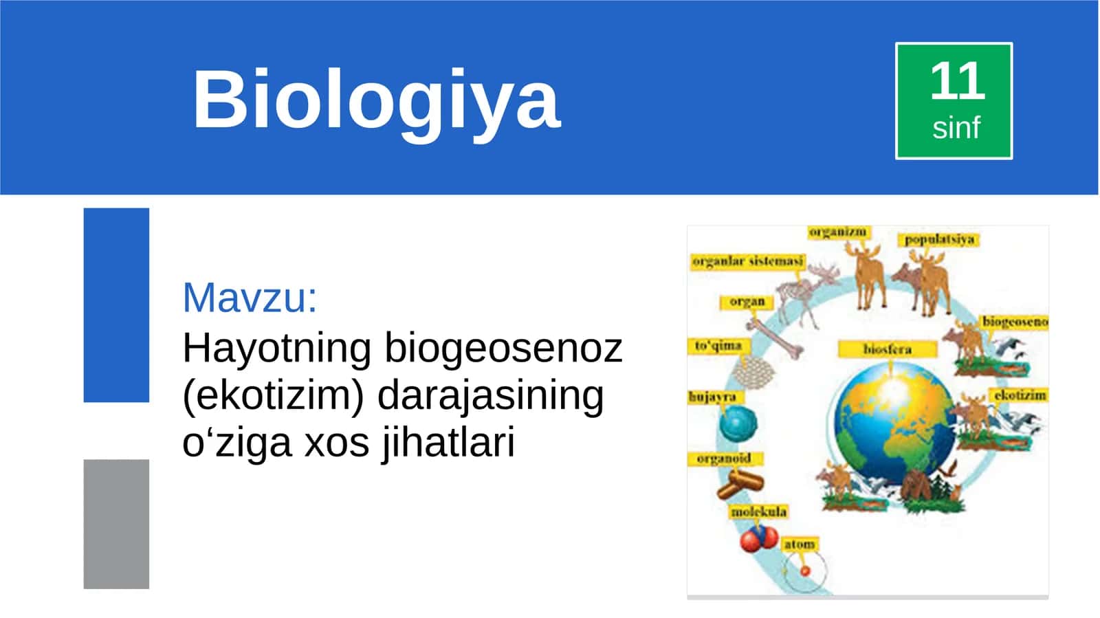 Hayotning biogeosenoz (ekotizim) darajasining o‘ziga xos jihatlari 1