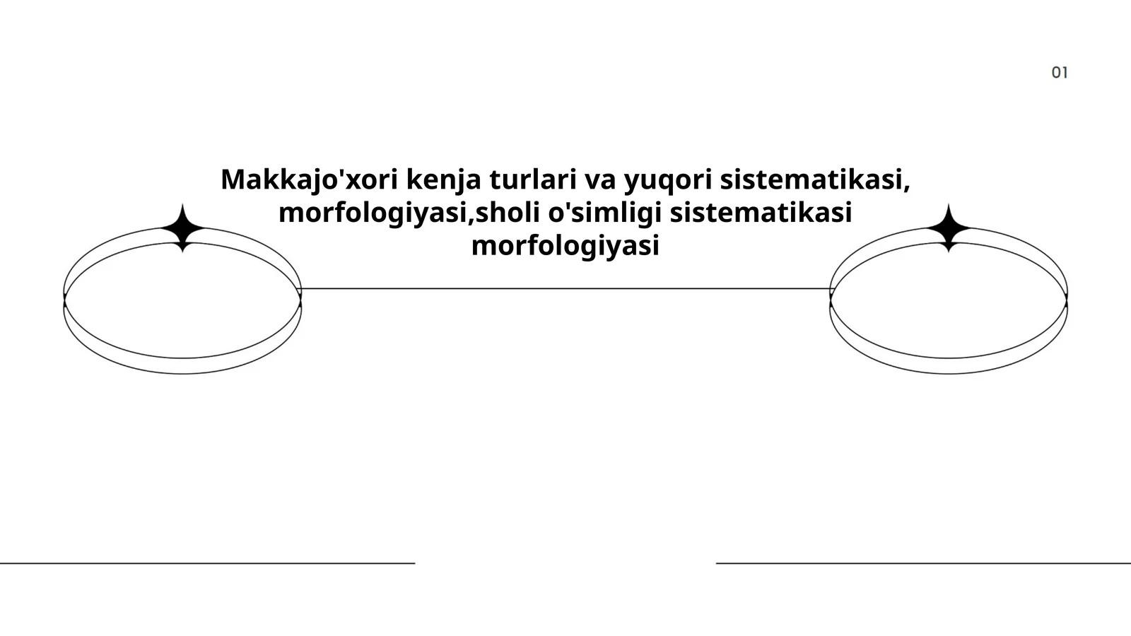 Makkajoʻxori kenja turlari va yuqori sistematikasi, morfologiyasi, sholi oʻsimligi sistematikasi morfologiyasi 1