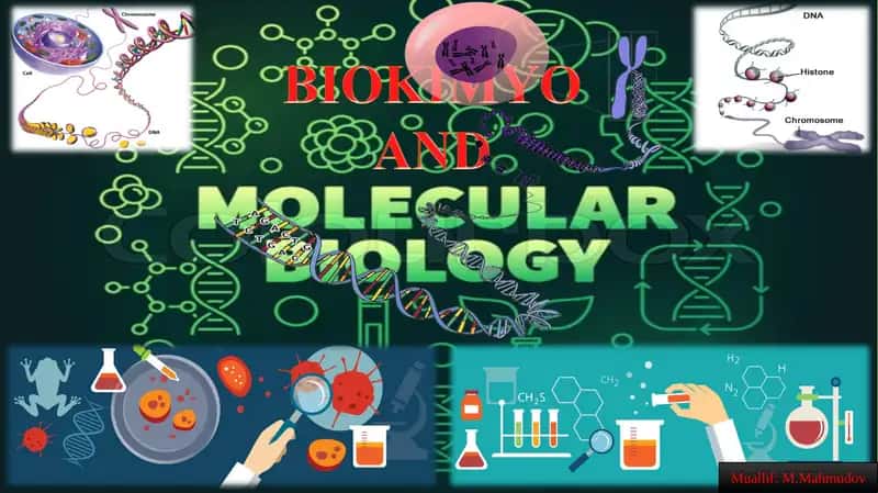 BIOLOGIK KIMYO VA MOLEKULYAR BIOLOGIYA FANINING BOSHQA FANLAR BILAN ALOQASI 1