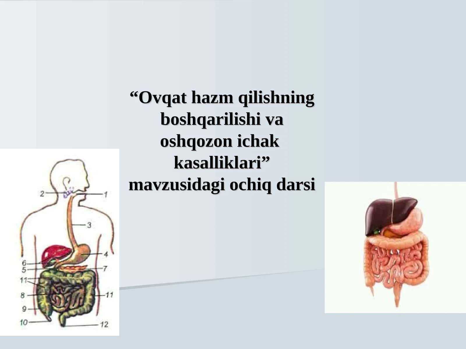 Ovqat hazm qilishning boshqarilishi va oshqozon ichak kasalliklari 1
