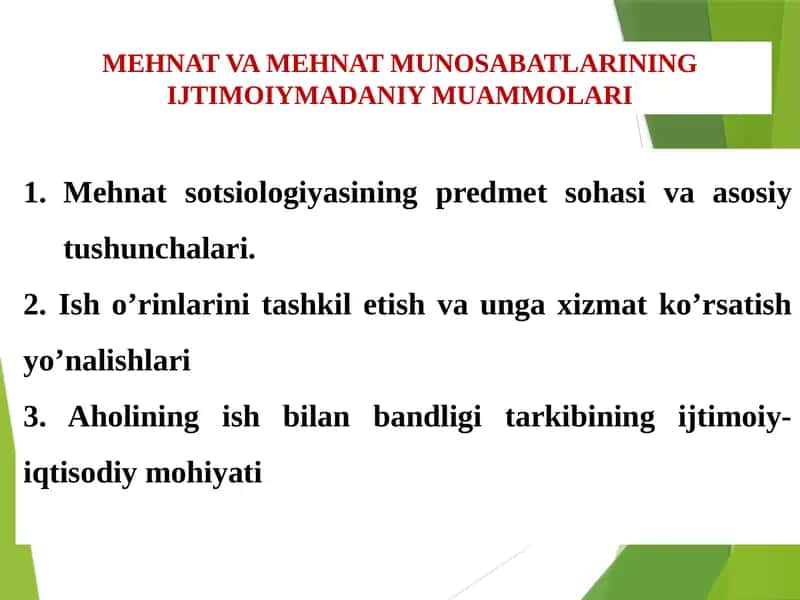 MEHNAT VA MEHNAT MUNOSABATLARINING IJTIMOIYMADANIY MUAMMOLARI 1