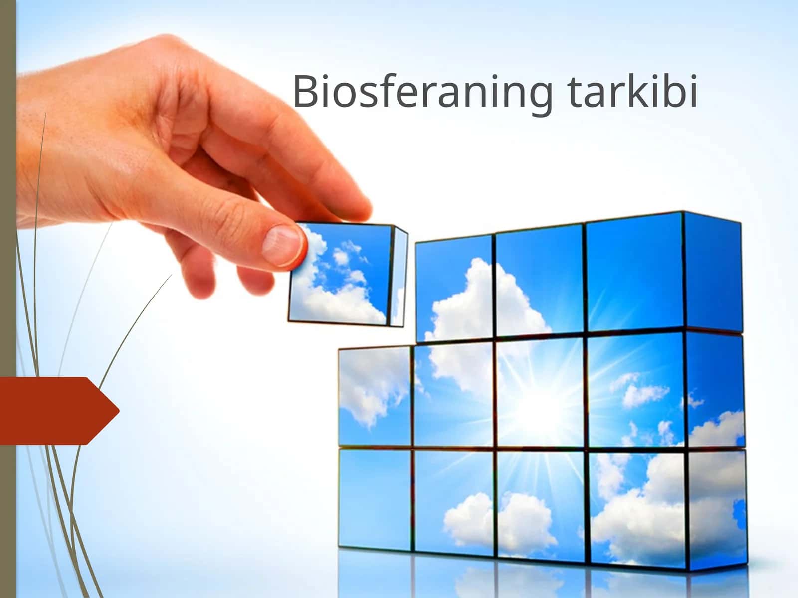 Biosferaning tarkibi 1