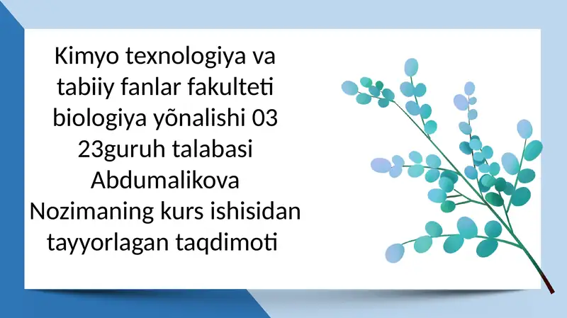 O‘zbekistonda tarqalgan suv qushlari, ularning tuzilishi va hayot kechirishi 1