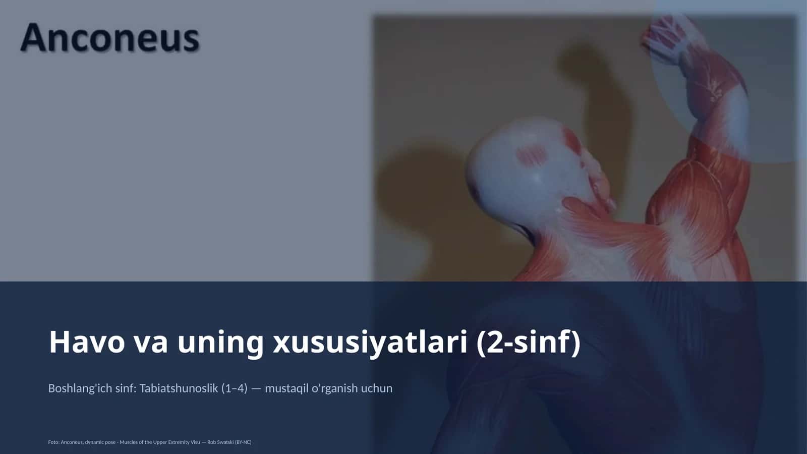 Havo va uning xususiyatlari (2-sinf) 1