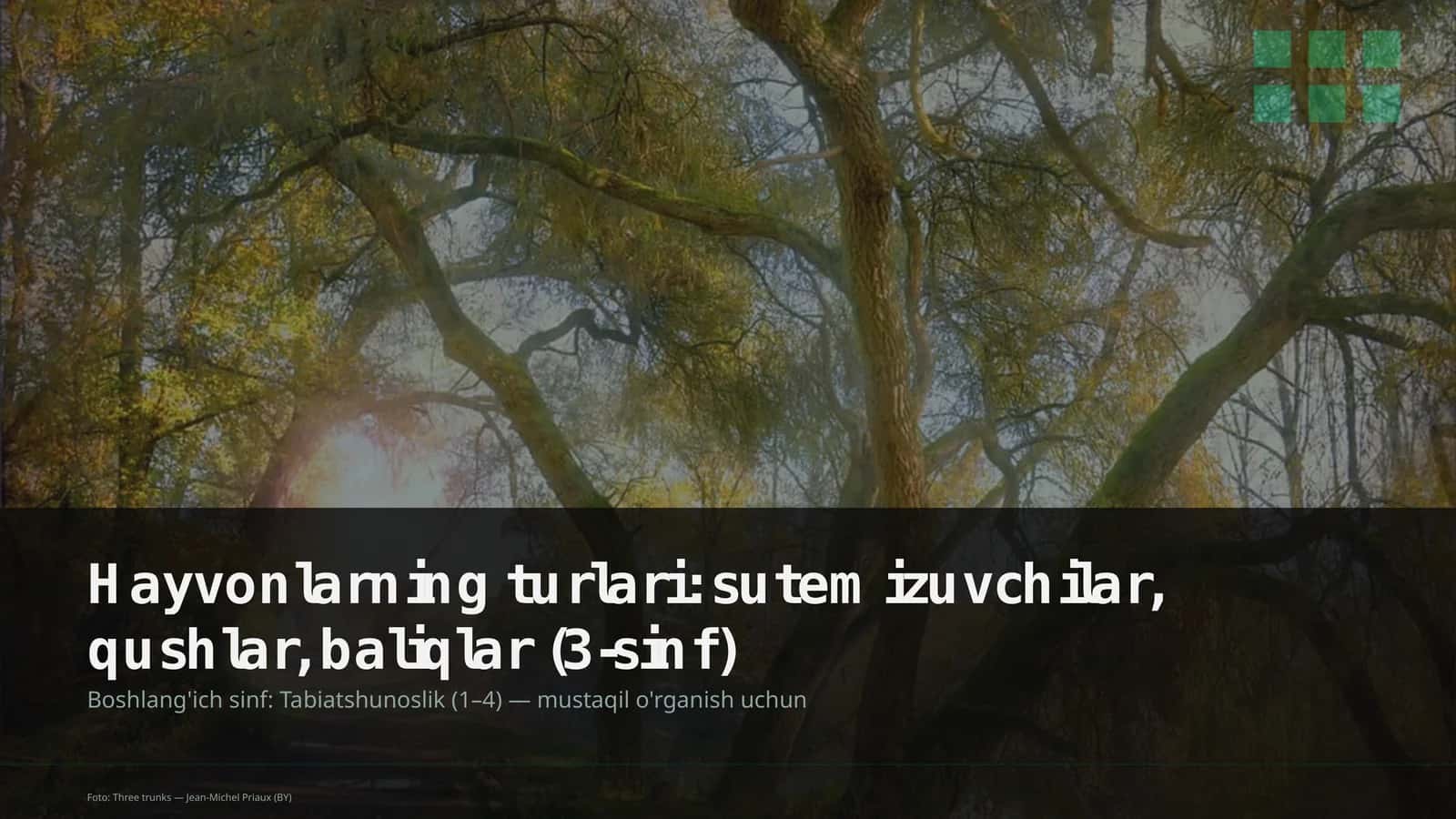 Hayvonlarning turlari: sutemizuvchilar, qushlar, baliqlar (3-sinf) 1