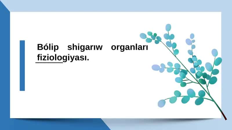 Bólip shigarıw organları fiziologiyası 1