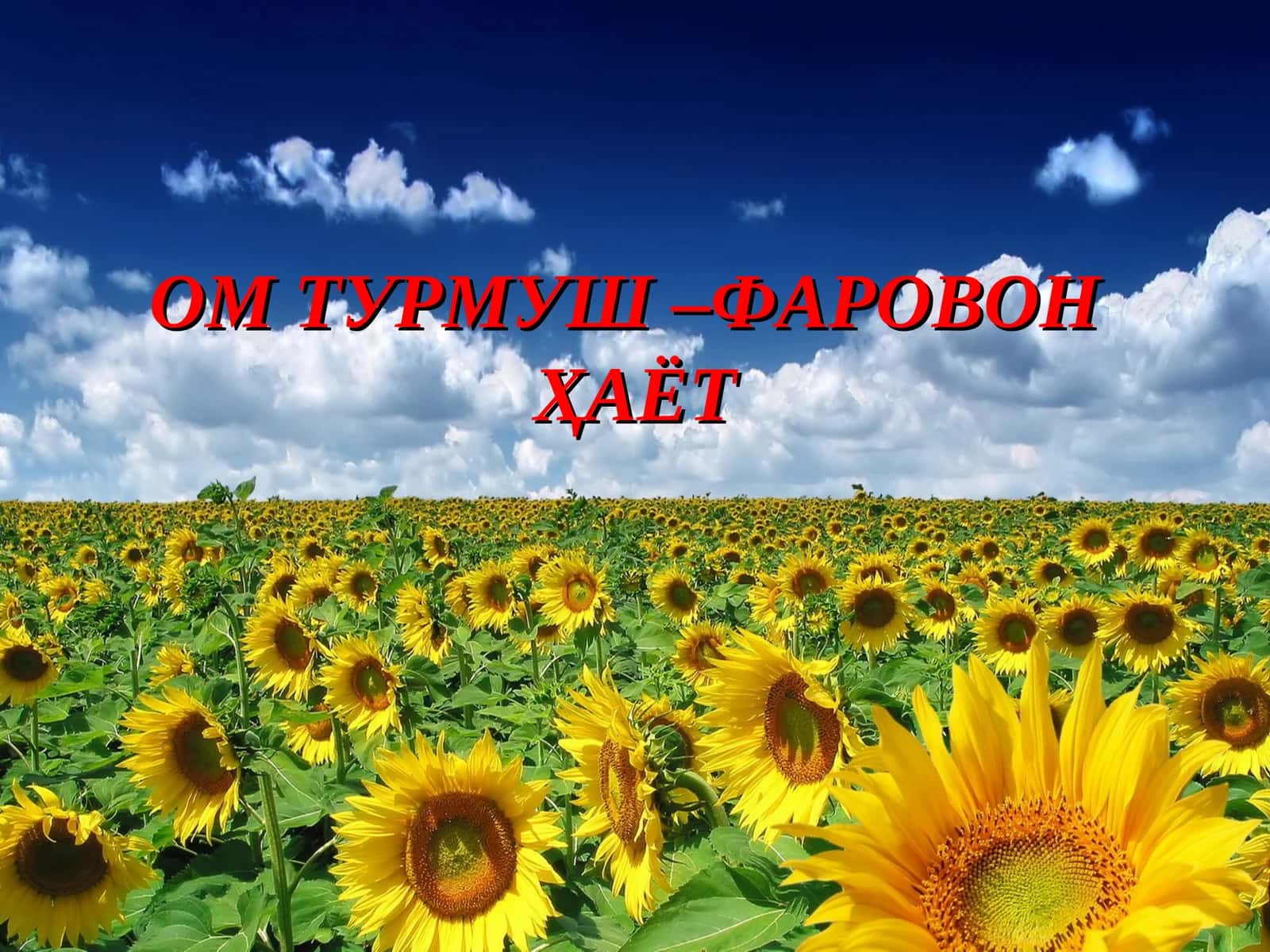 Ёшлар келажагимиз 1