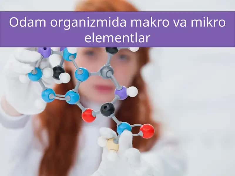 Odam organizmi damakro va mikro elementlar 1