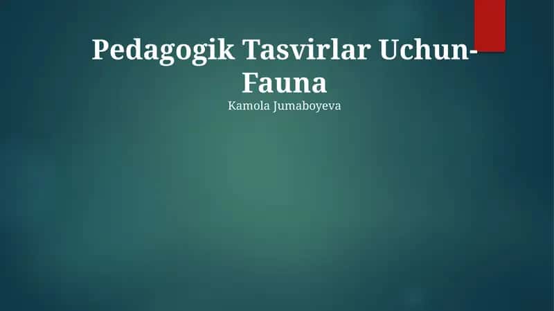 Pedagogik Tasvirlar Uchun-Fauna 1