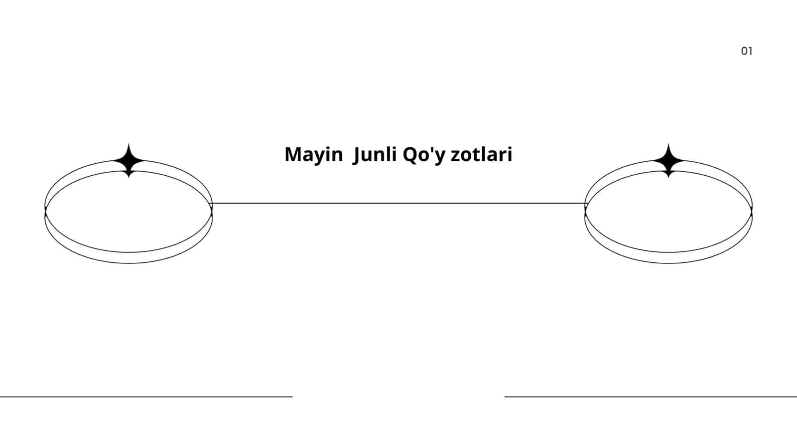 Mayin Junli Qo'y zotlari 1