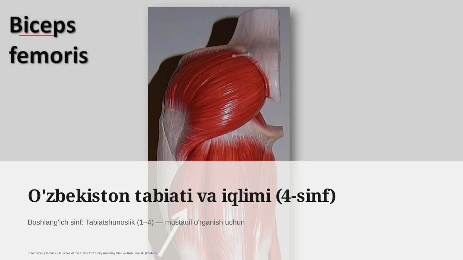 O'zbekiston tabiati va iqlimi (4-sinf) 1