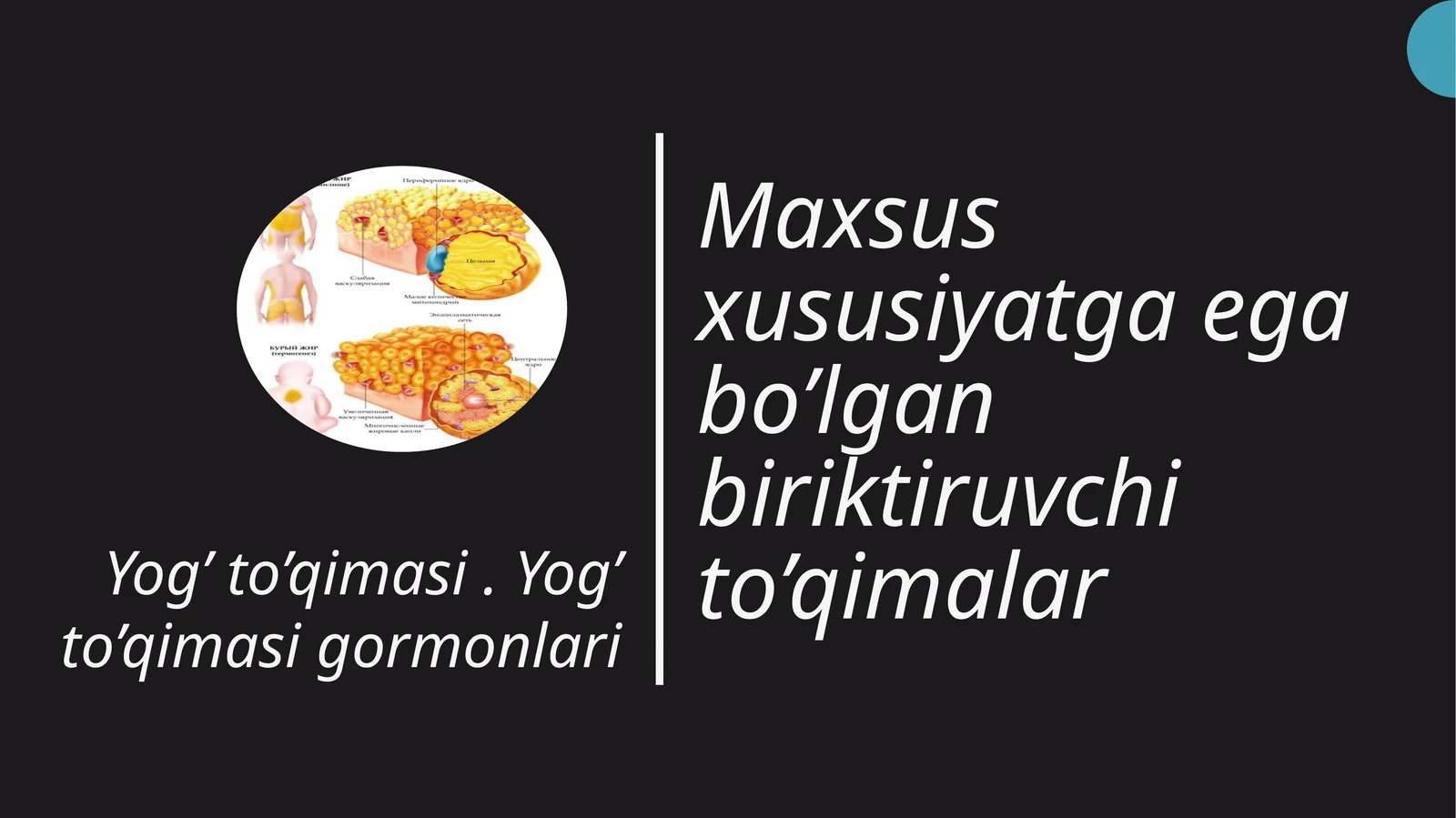 Prezentatsiya 1