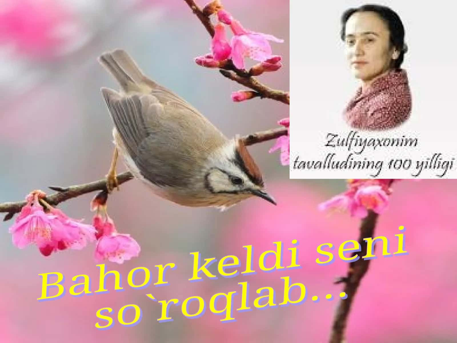 Zulfiya 1