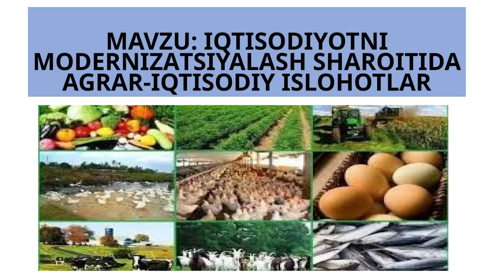 IQTISODIYOTNIMODERNIZАTSIYALASH SHAROITIDAAGRAR-IQTISODIY ISLOHOTLAR 1