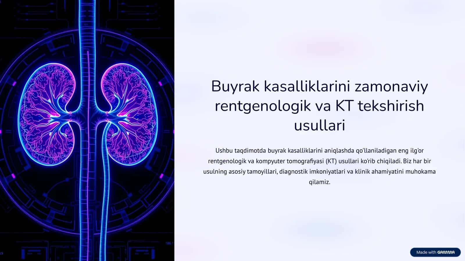 Buyrak kasalliklarini zamonaviy rentgenologik va KT tekshirish usullari 1