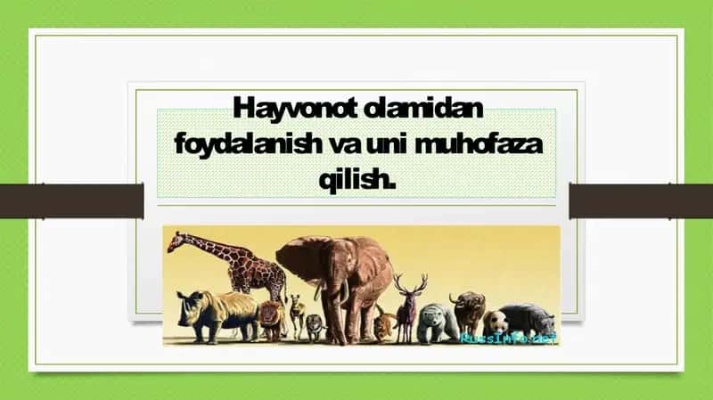 Hayvonot olamidan foydalanish va muhofaza qilish 1