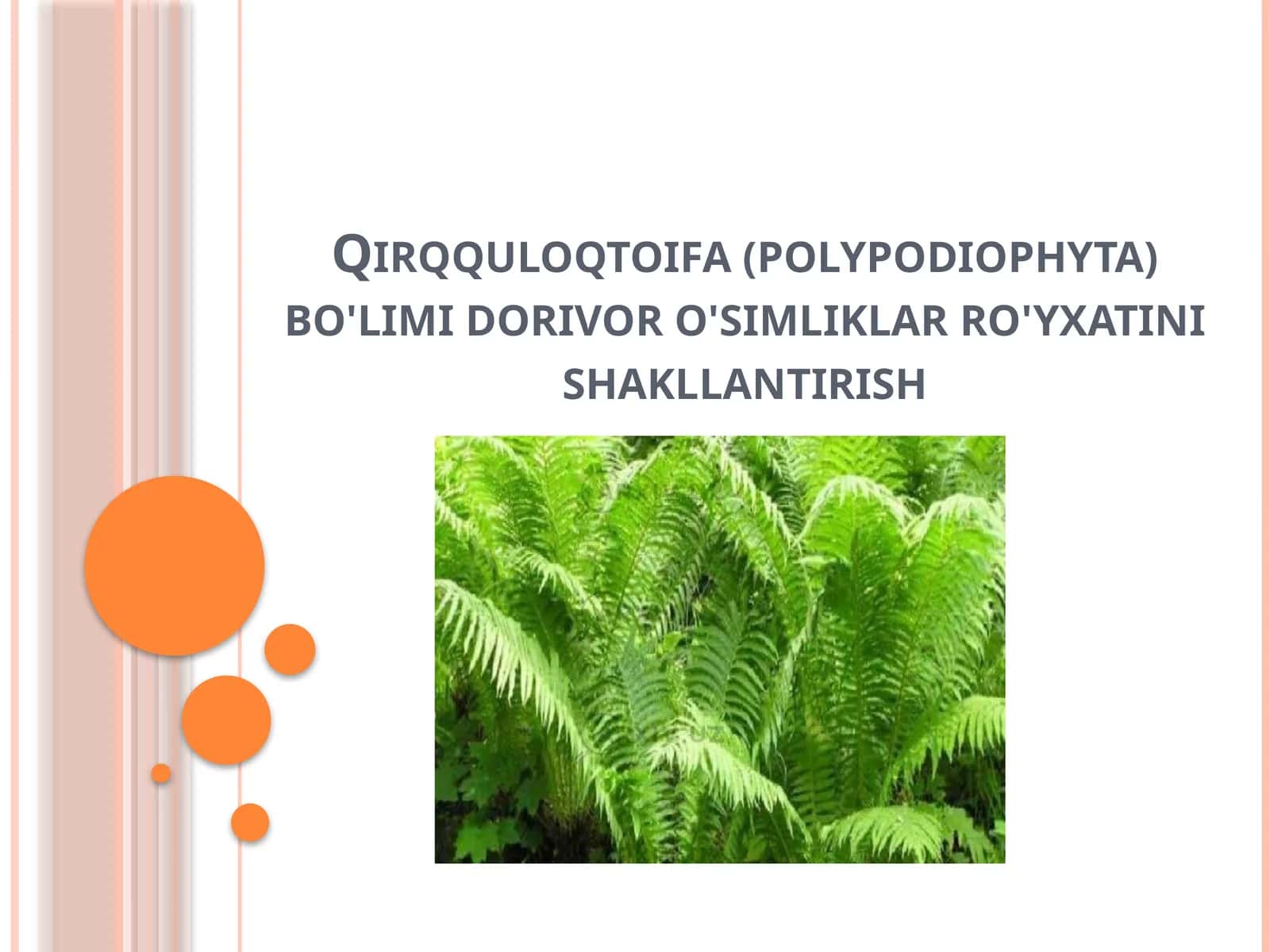 Qirqquloqtoifa (polypodiophyta) bo'limi dorivor o'simliklar ro'yxatini shakllantirish 1