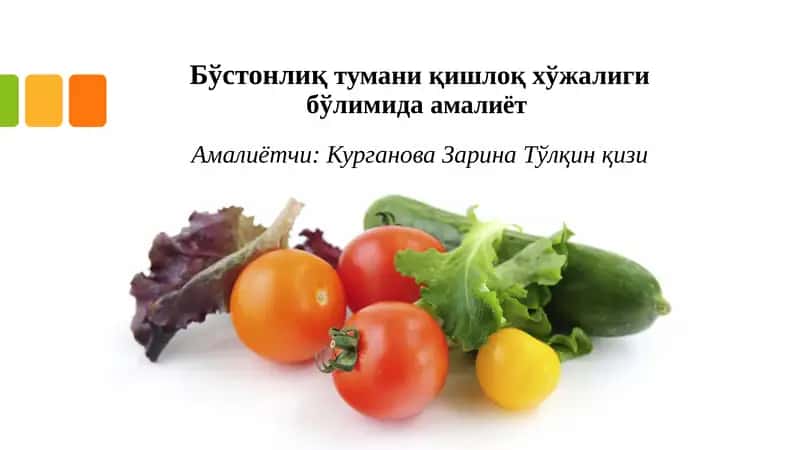 Бўстонлиқ тумани қишлоқ хўжалиги бўйича умумий маълумот 1