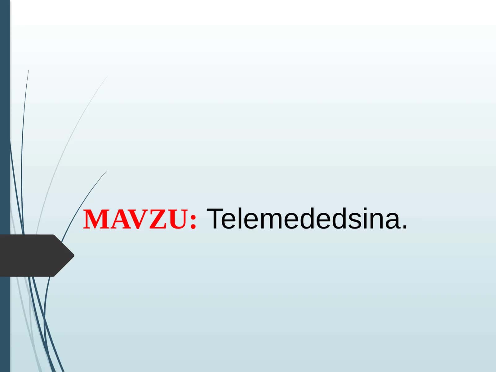 Telemededsina 1