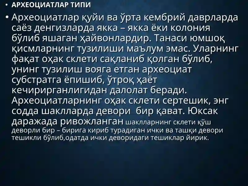 Археоциатлар Типи