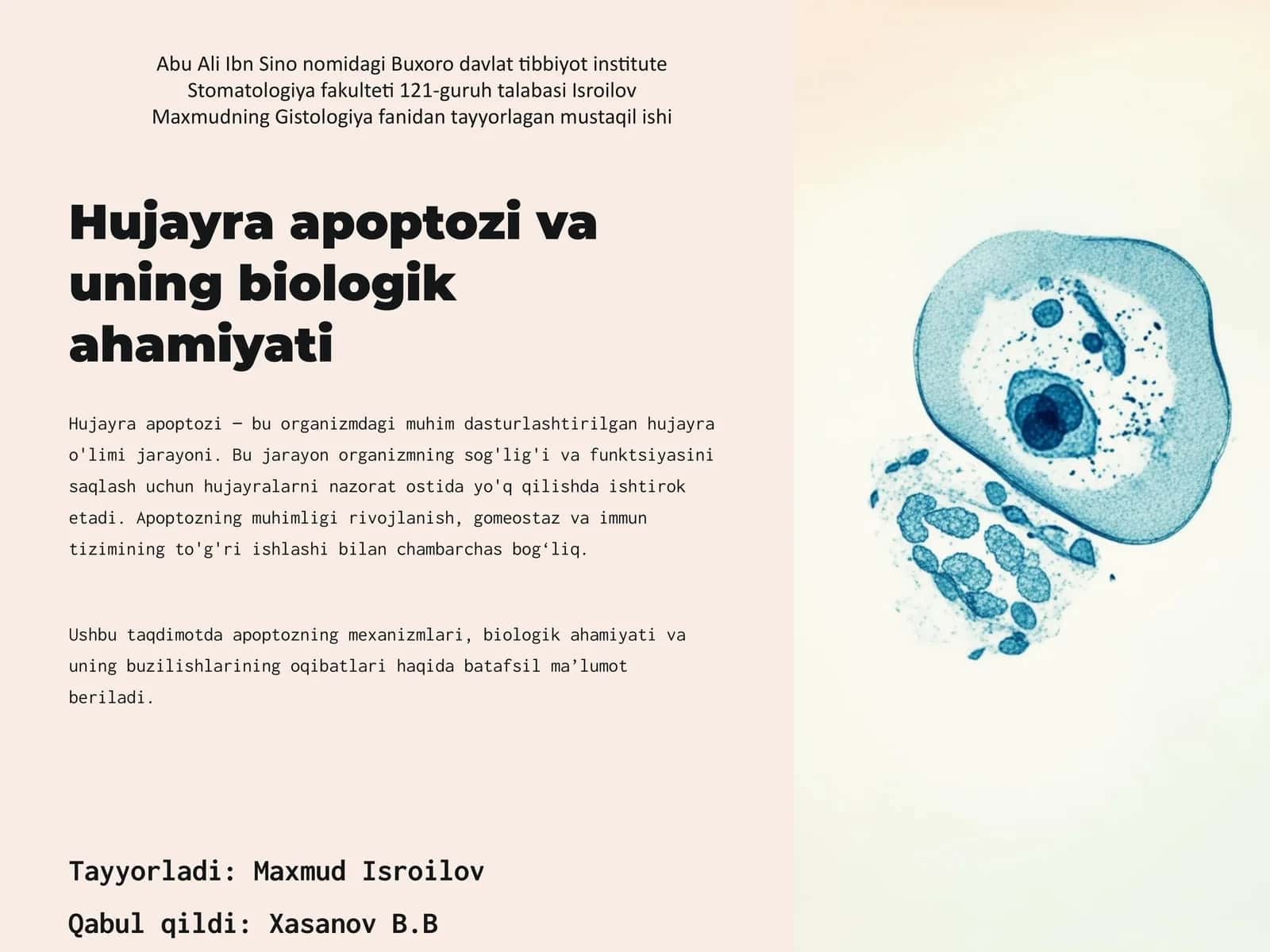 Hujayra apoptozi va uning biologik ahamiyati 1