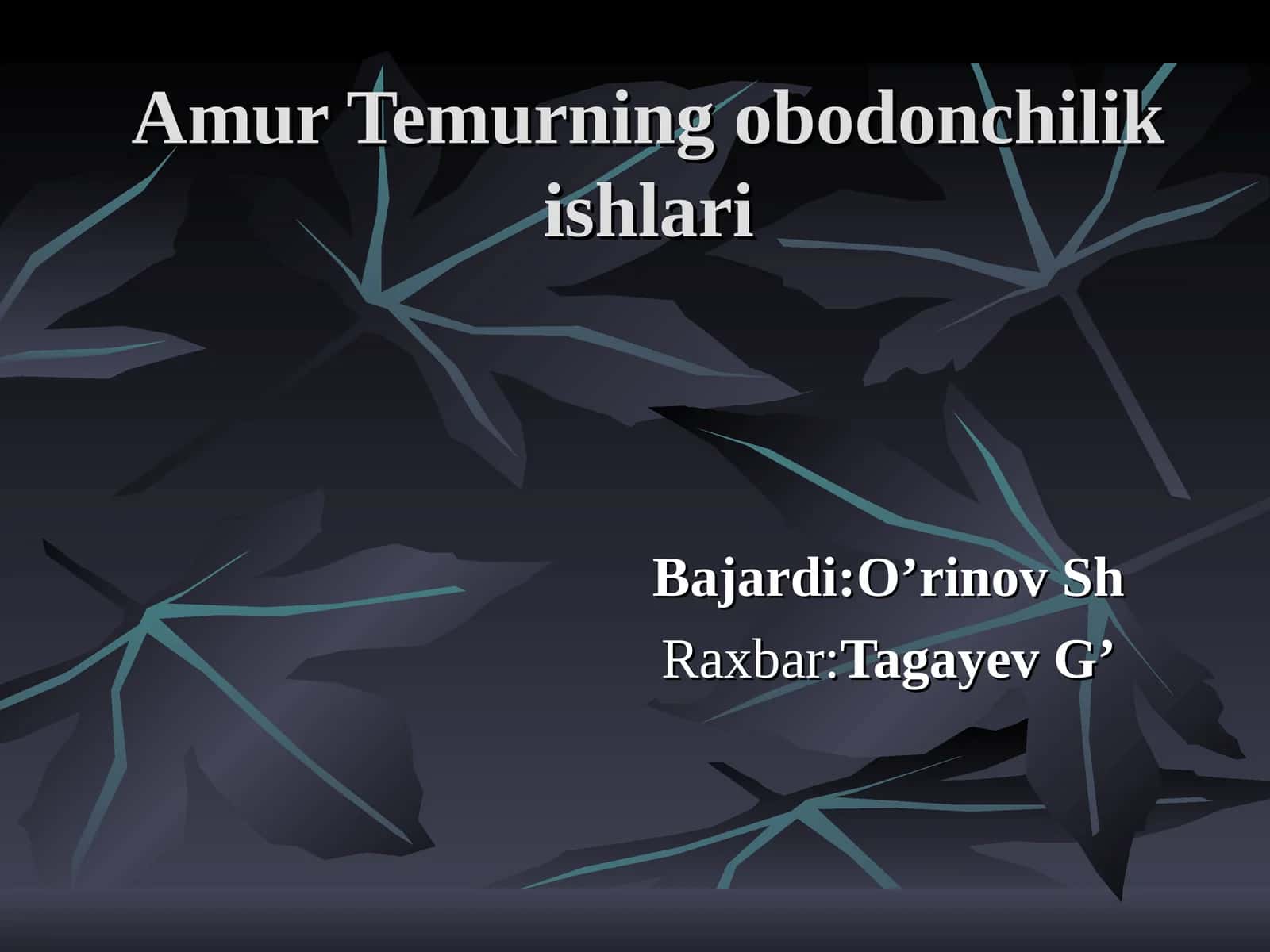 Amur Temurning obodonchilik ishlari 1