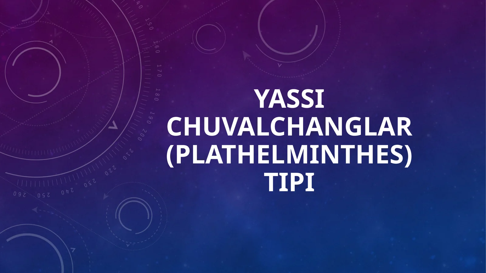 Yassi chuvalchanglar (Plathelminthes) tipi 1