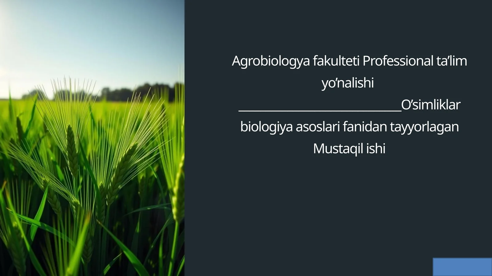 Yil davomida  ozuqabop ekinlaryetishtirishning  biologik asoslari 1